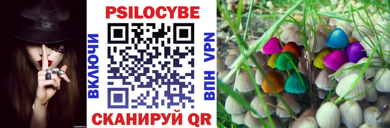 Псилоцибиновые грибы ЛСД Карабулак